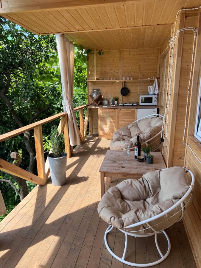 Vysota Hotell Gagra Exteriör bild